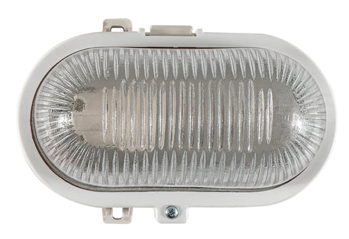 WLC 2016 WH WHITE PLASTIC TURTLE