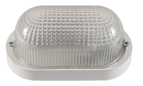 WLC 2017 WH WHITE PLASTIC TURTLE