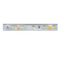 LED STRIP 5M 6W/M 12V DC IP65 4000K Ra80 283560NWPC