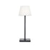 LED SMD TABLE BATTERY LUMINAIRE 2W 170LM 3.000K DARK GREY 360° CRI80 IP54 LG2050G-400