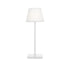 LED SMD TABLE BATTERY LUMINAIRE 2W 170LM 3.000K Sand White 360° CRI80 IP54 LG2050W-400