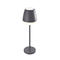 ^LED SMD TABLE BATTERY LUMINAIRE 2W 150LM 38° 3.000K DARK GREY CRI80 IP54
