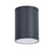 E27 PAR30 ROUND CEILING LUMINAIRE 230V AC DARK GREY IP65 MAX.35W LG2302E27G