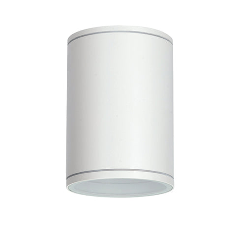 E27 PAR30 ROUND CEILING LUMINAIRE 230V AC MATT WHITE IP65 MAX.35W LG2302E27W