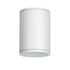 E27 PAR30 ROUND CEILING LUMINAIRE 230V AC MATT WHITE IP65 MAX.35W LG2302E27W