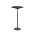 LED SMD TABLE BATTERY LUMINAIRE 2W 260LM 83° 3.000K DARK GREY CRI80 IP54 LG2441G-400