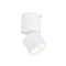 ΕΠΙΤΟΙΧΟ Φ/Σ LED 5W COB 80° 3000K 400LM ΛΕΥΚΟ ΑΛΟΥΜΙΝΙΟ D5,6XH10CM PLUTO RA33LEDS6WH