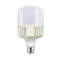 LED T100 E27 230V 35W 6000K 220° 3700Lm Ra80 IP65 40.000hrs T10035CW
