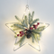"HANGING STAR" 15 MINI LED WW Λ/ΚΙΑ ΜΠ/ΡΙΕΣ (3AA) IP20 30X30CM, 30CM ΔΙΑΦ. ΚΑΛΩΔΙΟ X09151104