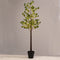 EUCALYPTUS LEAF TREE 240 WW LED ΛΑΜΠ. ΑΝΤΑΠΤ:4,5V IP44 ΥΨΟΣ 180cm ΓΛΑΣΤΡΑ 5m ΚΑΛ ^ X102401449