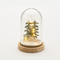 "PLASTIC COVER CHRISTMAS MOTIFS" AYTOKINHTO 8MINI LED ΛΑΜΠΑΚ ΜΠΑΤΑΡ(2xAAA)ΘΕΡΜ ΛΕΥΚΟ IP20 D12x18c XPCARWW3A