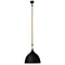 SINGLE LIGHT PENDANT LIGHTING ARLIGHT WITH SUSPENSION FROM ROPE AND HOOKS