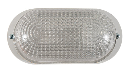 WLC 2017 WH WHITE PLASTIC TURTLE