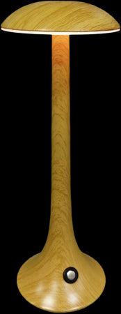 ΕΠΙΤΡΑΠΕΖΙΟ ΕΠΑΝΑΦΟΡΤΙΖΟΜΕΝΟ ΦΩΤΙΣΤΙΚΟ LED ΑΦΗΣ LEG-TDN002A